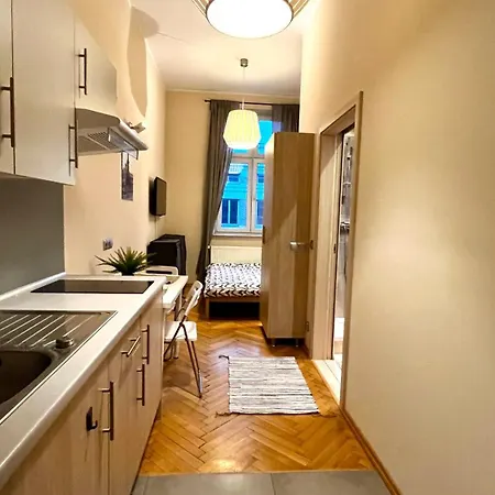 Apartman In Center *
